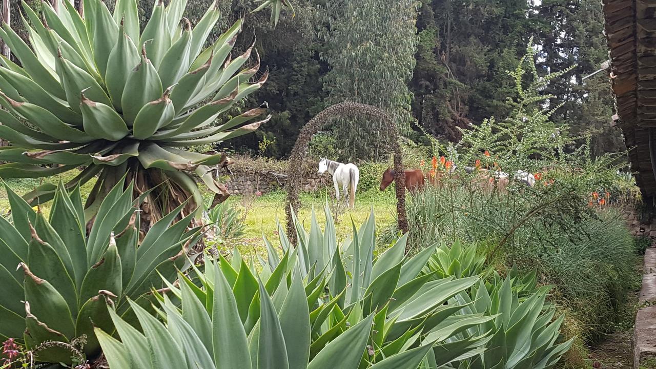 Hacienda Guachala Hotel Cayambe Buitenkant foto