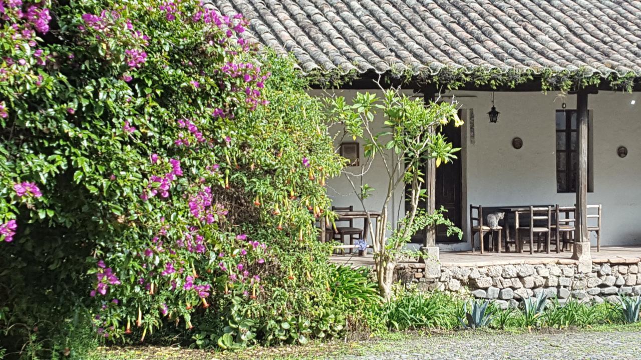 Hacienda Guachala Hotel Cayambe Buitenkant foto